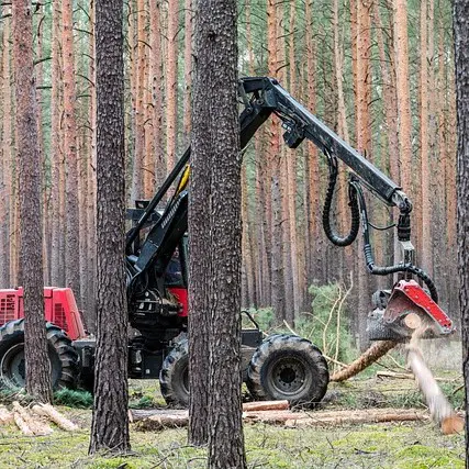 Forestry