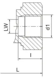 ISO 7-1 Female Thread